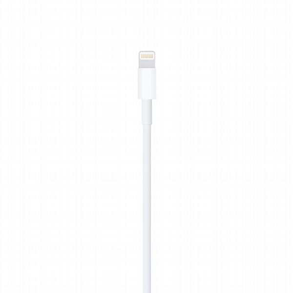 Apple USB-A to Lighting Cable (1m)