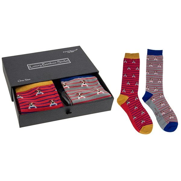 Equilibrium Men's Bamboo Socks Gift Box Pooch