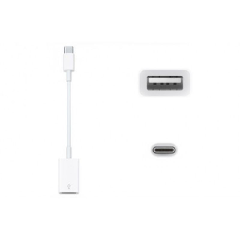 USB-C to USB Adapter