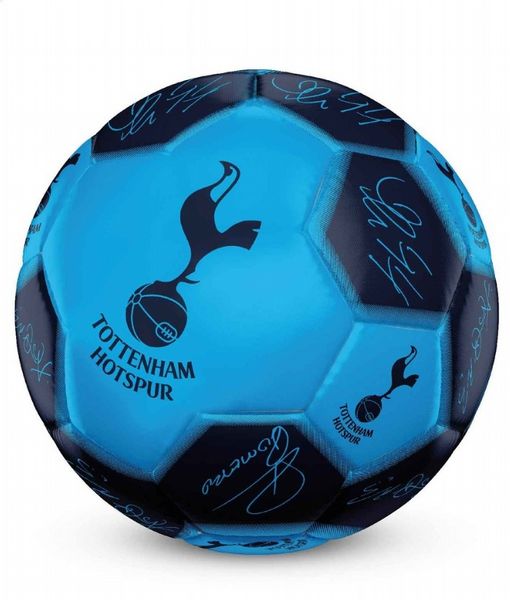 Team Merchandise 26 Panel Signature Football (5, Tottenham Hotspur)